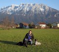 Pfotensitter: Hunde in Bayern 